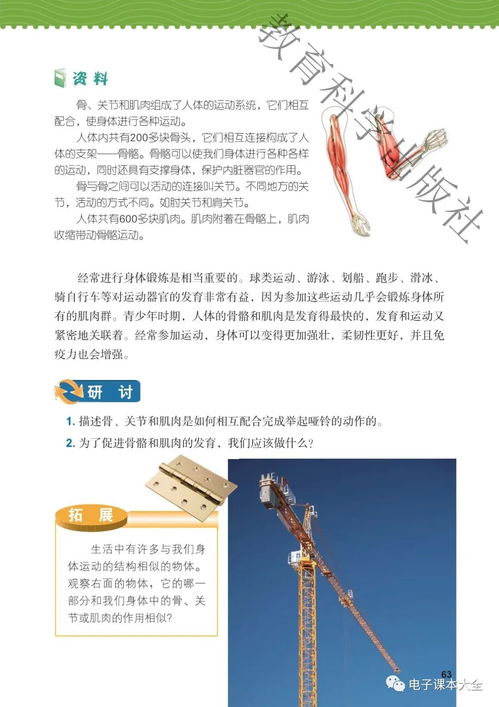 2021新改版教科版科學五年級上冊電子課本教材 材料科學研究與高清PDF下載指南