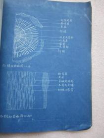 云南蘿芙木研究的材料科學(xué)價(jià)值探析——基于檔案文獻(xiàn)與實(shí)物標(biāo)本的整理研究